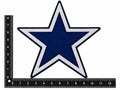 Dem Boyz Star Sequin Iron-on Patch